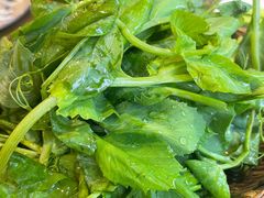 豌豆苗-重庆渝达老火锅(春熙路店)