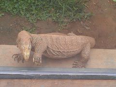 -广东茂名森林公园