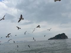 -棒棰岛宾馆景区