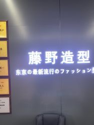 点击看大图 -藤野造型