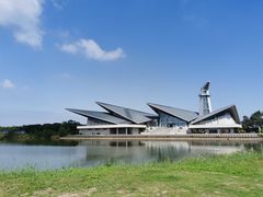 -盐城丹顶鹤湿地生态旅游区