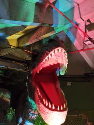 点击看大图 -恐龙探索乐园(磁器口店)