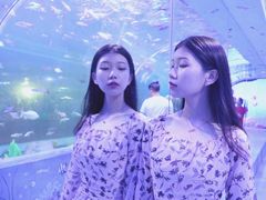 -白鹿仓冰雪海洋世界
