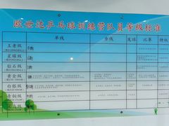 -西安欧世达乒乓球训练营