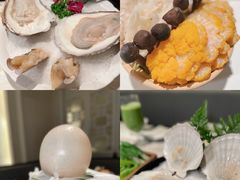 -汤城·料青山