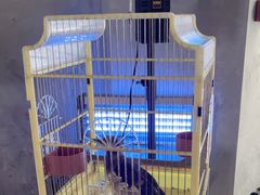 -岁粤Moon·湖景餐厅(月光码头店)