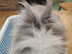 -藦茜花园宠物主题亲子互动体验馆(国顺东路店)