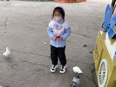 -南湖梦幻岛
