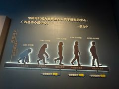 -广西壮族自治区博物馆