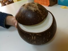 -志龙皇冠吃货椰子铺