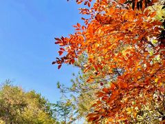 -南京市无想山景区