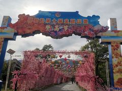-北京凤凰岭