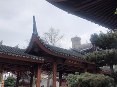 -上海东林寺(金山区)