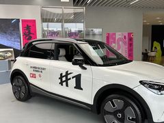 -上海浦东smart汽车全功能店(金桥店)