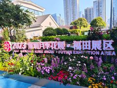 -香蜜公园