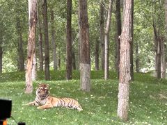 -北京野生动物园