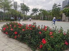 -松坪山公园