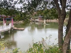 -青龙山国家森林公园