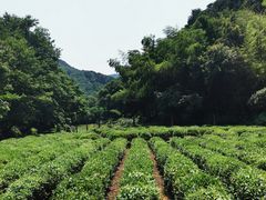 -法云古村
