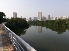 -金鸡岭桥头公园