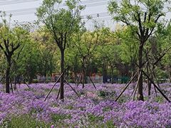 -万柳阁小馆·花园餐厅(龙潭湖店)