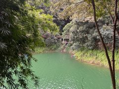 -广州市流溪河国家森林公园