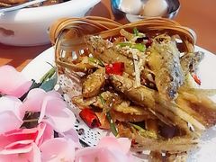 -丹江渔村(望京店)