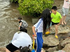 -宝安西湾红树林湿地公园