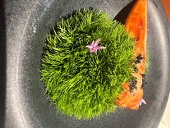 -觀芷隐轩