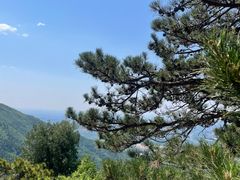 -北京十三陵国家森林公园蟒山景区