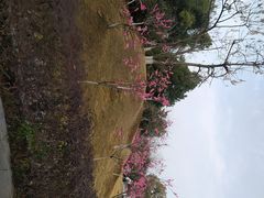 -三国赤壁古战场