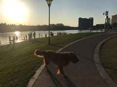 -美兰湖景区
