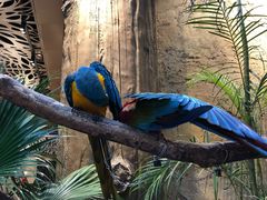 -杭州开元森泊度假乐园