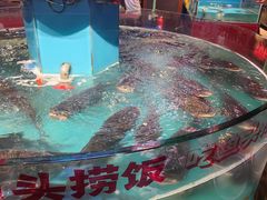 -魏铭鱼头捞饭(晋阳路店)