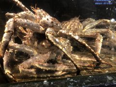 -海鲜e族(马王堆店)