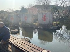 -香雪海