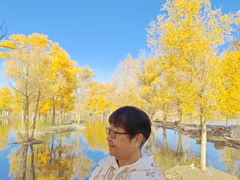 -金塔沙漠胡杨林景区