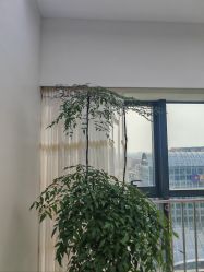 -HEYAN荷妍专业脱毛连锁机构