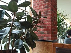 -惠友大虾(太原北街店)