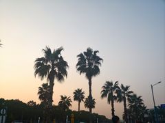 -东钱湖旅游度假区