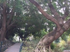 -Apple 零售店(Canton Road)