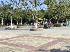 -番禺大夫山森林公园