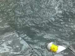 -北京美神宫艺术主题温泉酒店