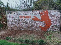 -昆山城市生态森林公园