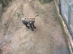 -宁波野生动物园