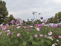 -水韵·渔家臻品私房菜(中庙店)