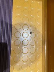 -卡通尼·Safari非洲探索乐园·生日会(金桥国际商业广场店)