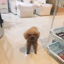 -Hands Nail专业美甲美睫