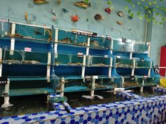 -李哥海鲜烧烤家常菜(孔雀城店)