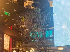 -桂满陇·海市蜃楼·黑金(国金店)